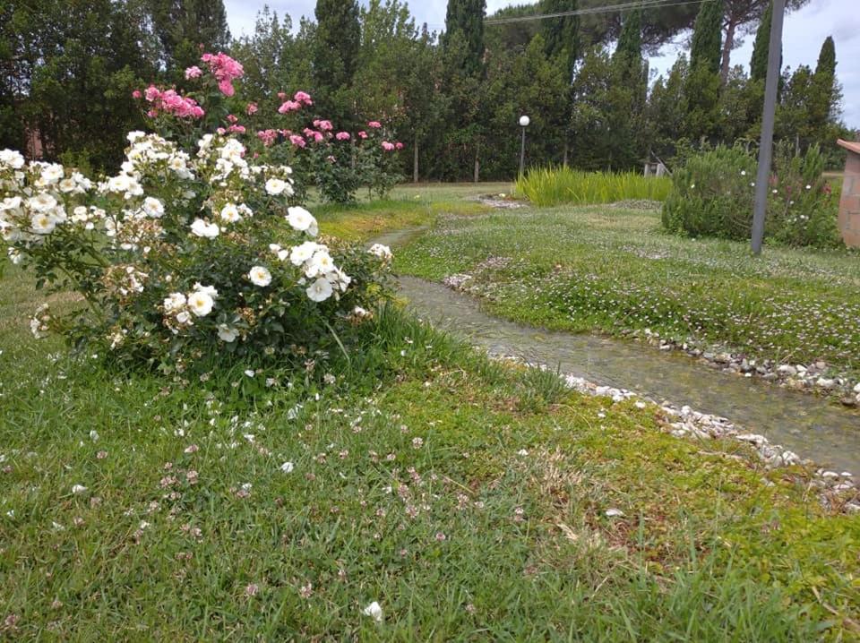 Agriturismo Il Selvello Le Versegge Exterior photo